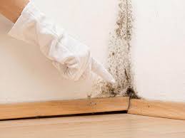 Best Real Estate Mold Inspection  in USA